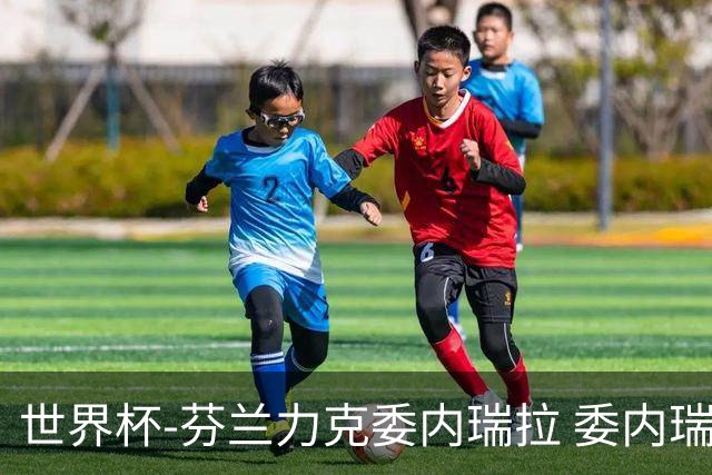世界杯-芬兰力克委内瑞拉 委内瑞拉0胜5负告别