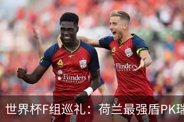 世界杯F组巡礼：荷兰最强盾PK瑞典犀利刀 日本短板明显