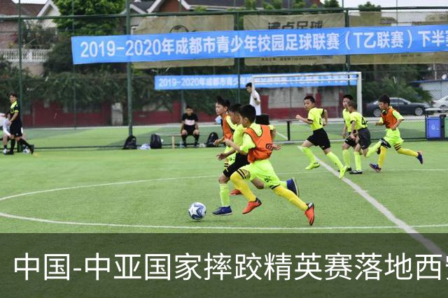 中国-中亚国家摔跤精英赛落地西安 促多边体育文化交流