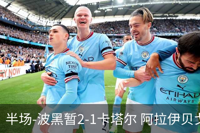半场-波黑暂2-1卡塔尔 阿拉伊贝戈维奇世界波破门哲科造乌龙