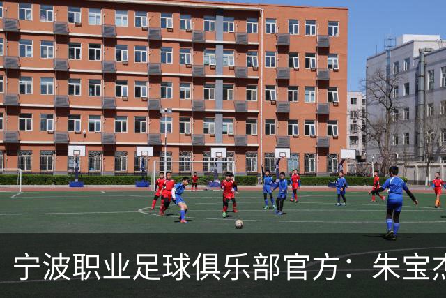 宁波职业足球俱乐部官方：朱宝杰、刘博洋、艾迪等8名球员离队