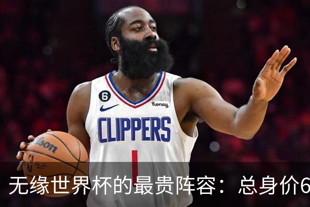 无缘世界杯的最贵阵容：总身价6.7亿 意大利5人