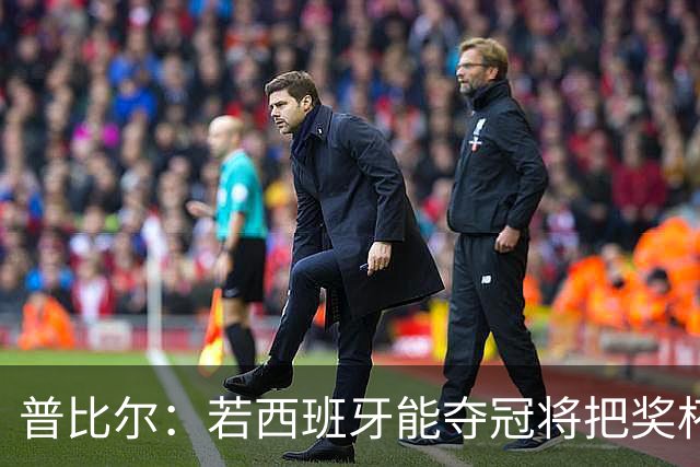普比尔：若西班牙能夺冠将把奖杯纹在身上 葡萄牙不好对付