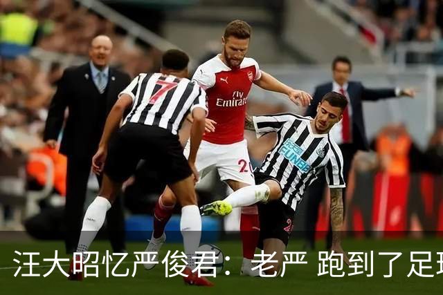 汪大昭忆严俊君：老严 跑到了足球前面