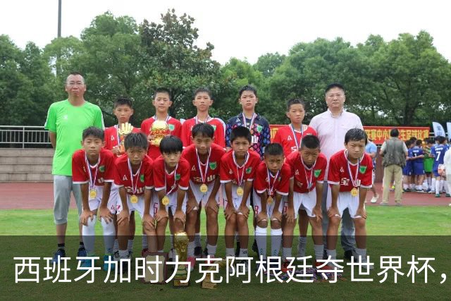 西班牙加时力克阿根廷夺世界杯，托雷斯106分钟致命一击