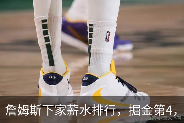 詹姆斯下家薪水排行，掘金第4，勇士第3，骑士610万，3队包布朗尼工作