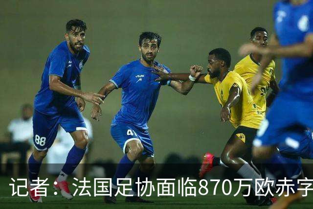 记者：法国足协面临870万欧赤字，却花1200万订世界杯下榻酒店
