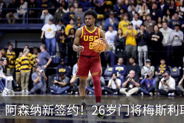 阿森纳新签约！26岁门将梅斯利耶免费加盟，成为拉亚的替补人选