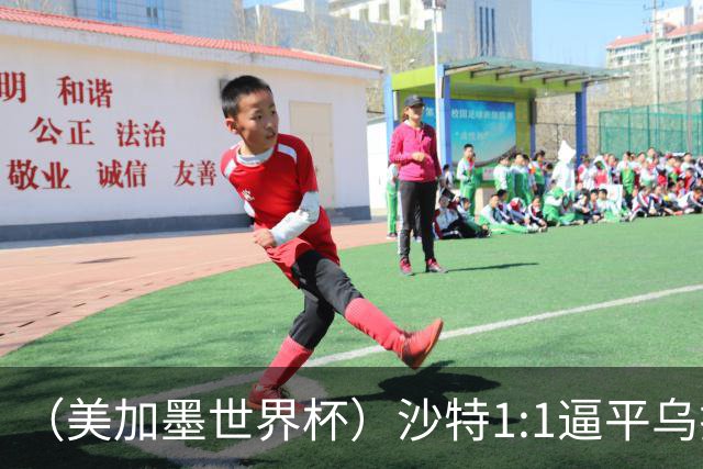 （美加墨世界杯）沙特1:1逼平乌拉圭 伊朗2:2战平新西兰