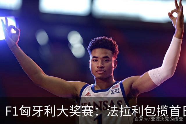 F1匈牙利大奖赛：法拉利包揽首日两次练习赛头名